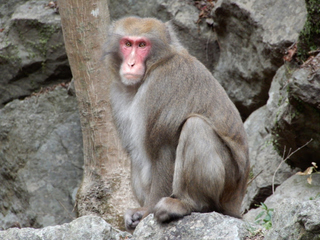 DSCN6607_1.jpg